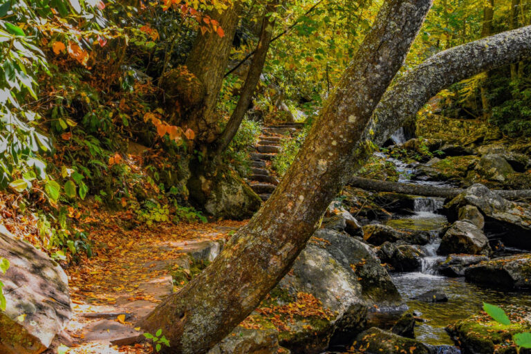 Parque natural de Redes, en Asturias